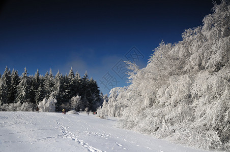 山中积雪的冬季景观图片