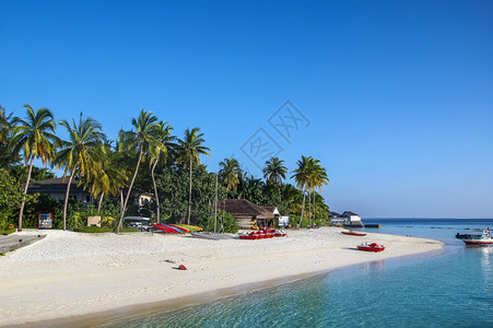 马尔代夫一个热带岛屿上的白色沙滩图片
