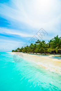 含有椰子棕榈树和蓝天空背腹沟的生病岛屿上美丽的图片