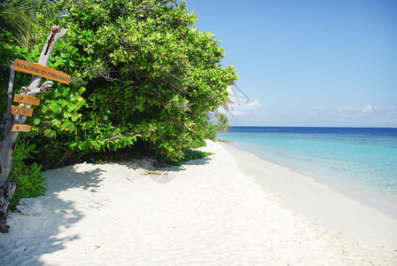 马尔代夫印度洋美丽的热带岛屿上海滩沙滩图片