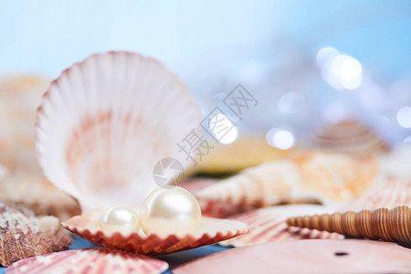 蓝色背景中带珍珠牡蛎的贝壳图片