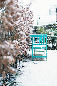 在雪地花园的蓝木板凳图片