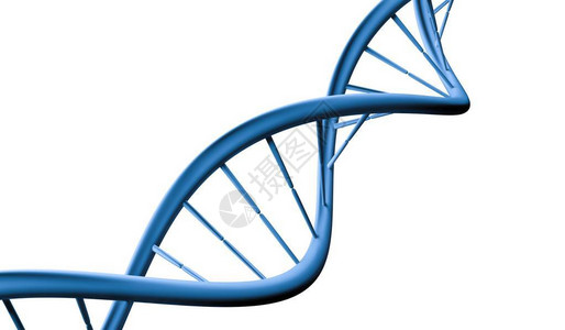 白色背景上分离的DNA螺旋分子3D图片