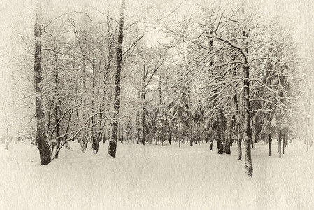 冬季森林覆盖着雪复古插画图片