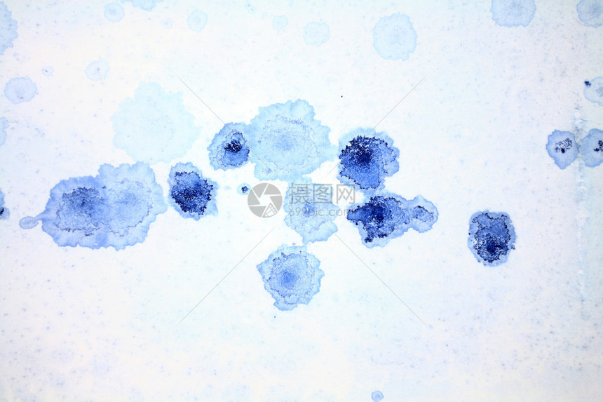 白色背景上的蓝色墨水滴图片