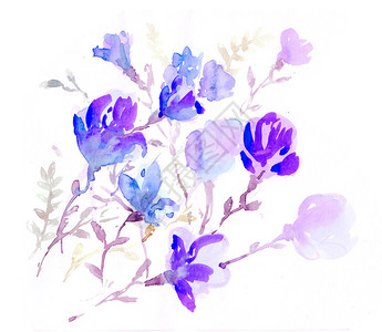 花朵多彩水彩插图用水彩图片