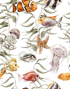 水彩海洋生物无缝图案水下彩插图海藻星珊瑚图片