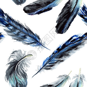 翅膀上的蓝色和黑色鸟羽水彩背景插图集图片