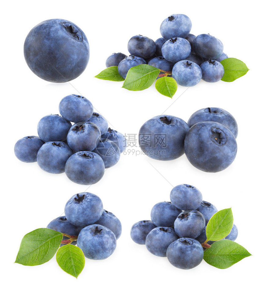 个蓝莓图像的集合图片
