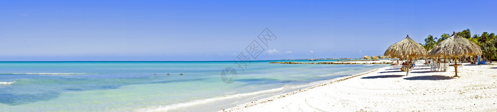 阿鲁巴岛棕榈滩全景图片