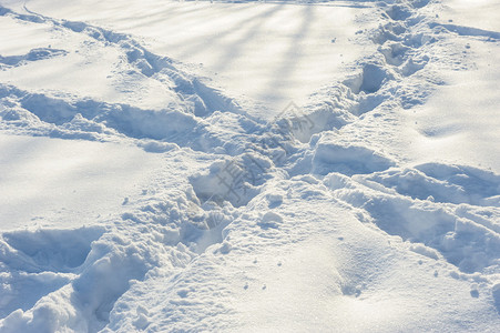 在新鲜的白雪上越过人迹图片