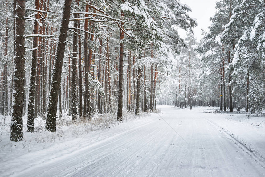 在拉脱维亚一层新鲜雪下未铺设的图片