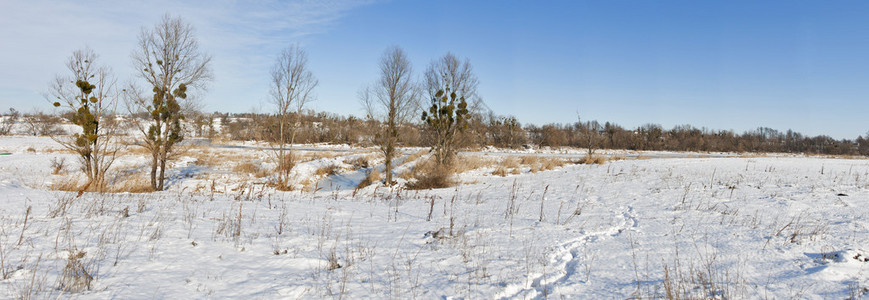 冬河乡村景观全景图片