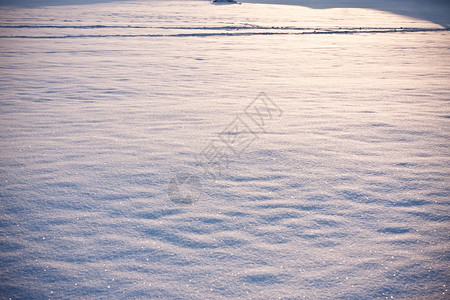 圆背雪图片