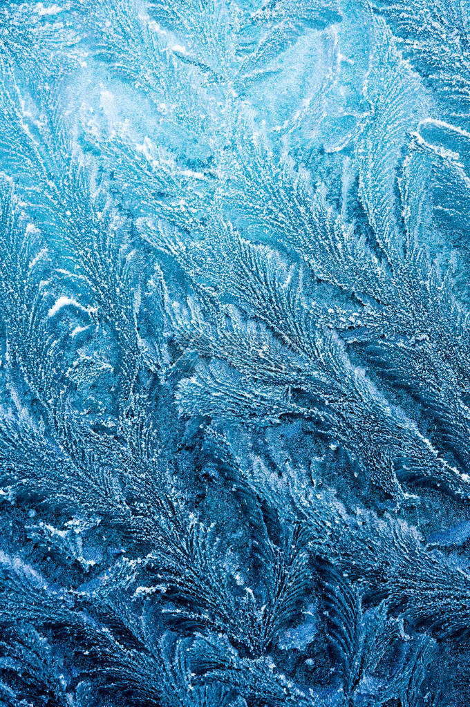 冰花冰冻冰冷的冰霜以美丽的独特图片