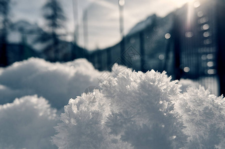 在阳光下冬天的冰雪水晶的美丽图案图片