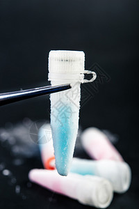 在液氮库中长期储存的冷冻体样本Sperm和St图片