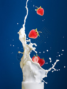 掉进成熟的草莓导致大量奶水在蓝色背图片