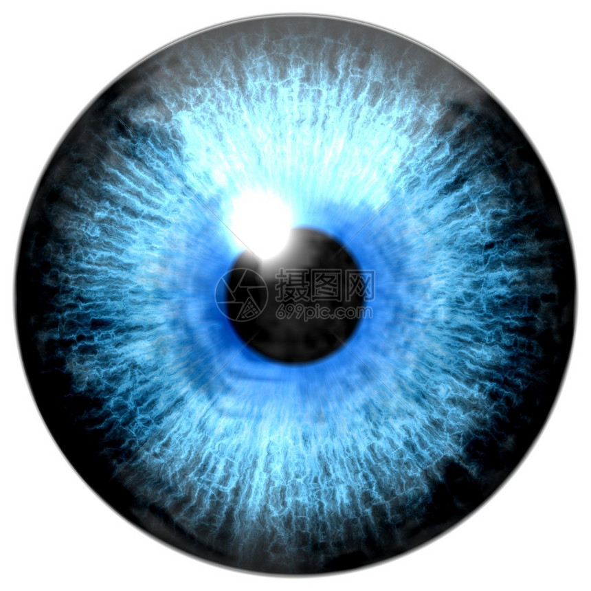 蓝眼睛虹膜的插图光反射图片