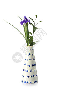 白色背景的陶瓷花瓶图片