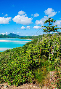 澳大利亚Whitsunday群岛冬季白海滨滩上山丘的颜色图片