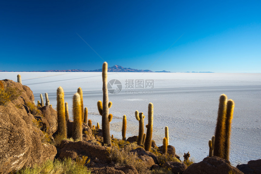 在玻利维亚最重要的旅游目的地之一图片