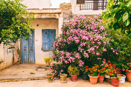 希腊的院子和城市景色图片