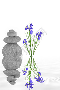 侘寂风精致平衡的温泉石的Zen花园抽象和蓝虹膜花朵插画