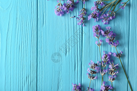 蓝色木质背景上的薰衣草花图片