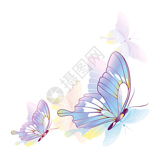 蝴蝶设计背景图片