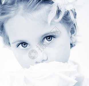 美丽的小女孩玫瑰蓝背景图片
