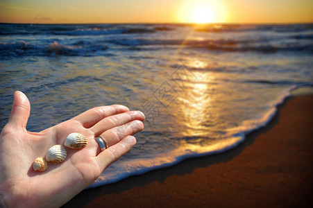 日落时在海滩上张开有贝壳的手掌图片