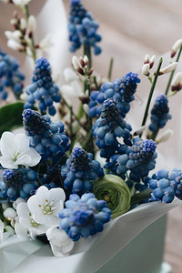 美丽的春天花束嫩蓝的花朵优图片