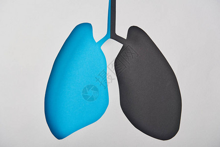 白色隔离的空白蓝色和黑色肺模图片
