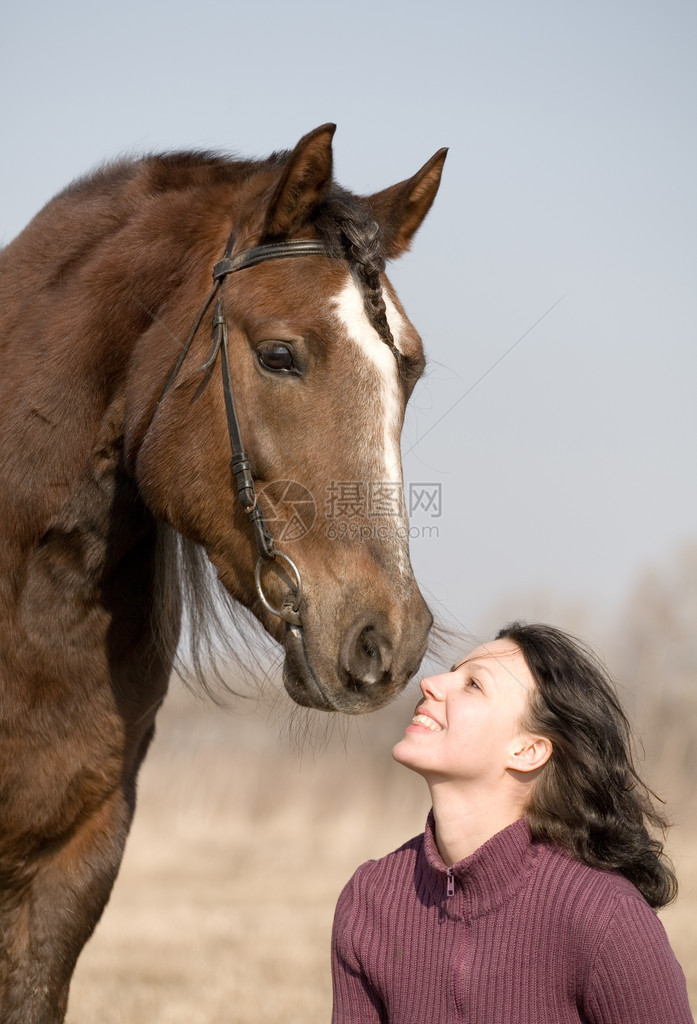 年轻女孩和马在领域图片