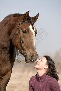 年轻女孩和马在领域背景图片
