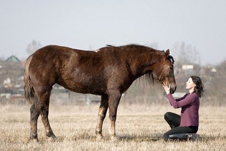 年轻女孩和马在领域背景图片