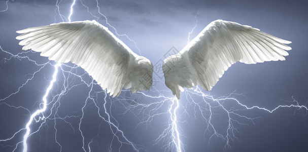 天使翅膀背景由天图片
