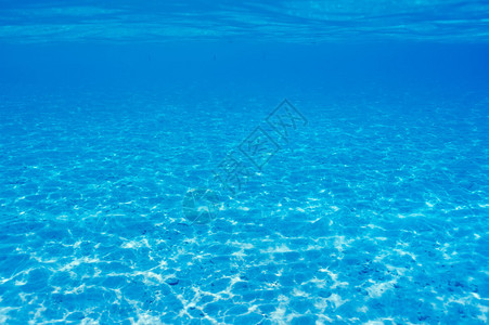 马尔代夫清澈海水中的沙底图片