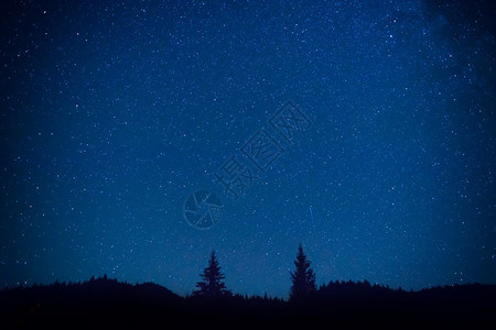 深蓝夜空在有松树的背景图片