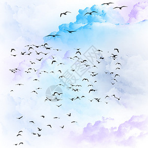 天空纹理中的飞鸟图片