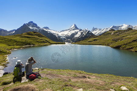 背景中的bachalp湖和山脉图片