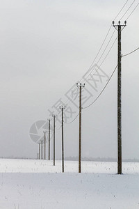 在冬季的电线杆图片