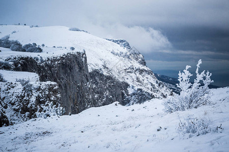 冬季雪地山丘和森图片