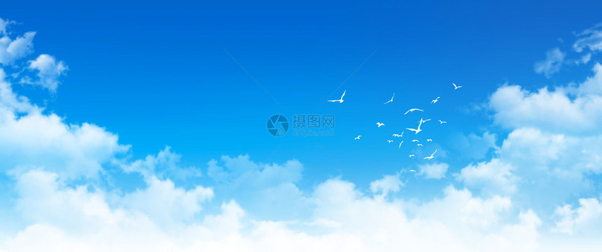高分辨率蓝色天空背景白云和鸟在白天的成图片