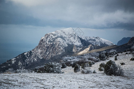 冬季雪地山丘和森图片