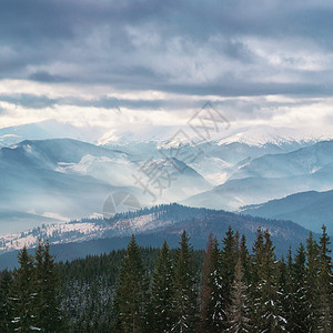 喀尔巴阡山脉全景中的冬季景观图片