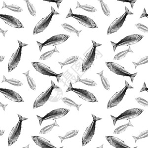 白色背景上的鱼铅笔画无缝背景图片