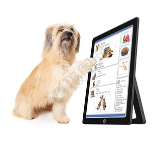 一只大狗在平板设备上通过社交图片