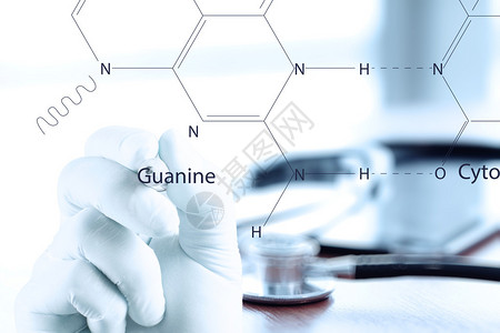 以现代计算机接口作为医学概念开展工作的医生亲手贴近图片